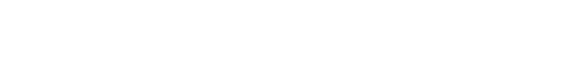 HAYAN 100